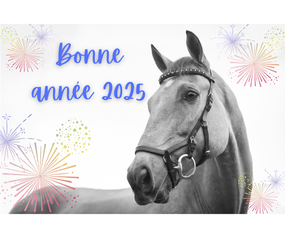 Bonne année équestre 2025