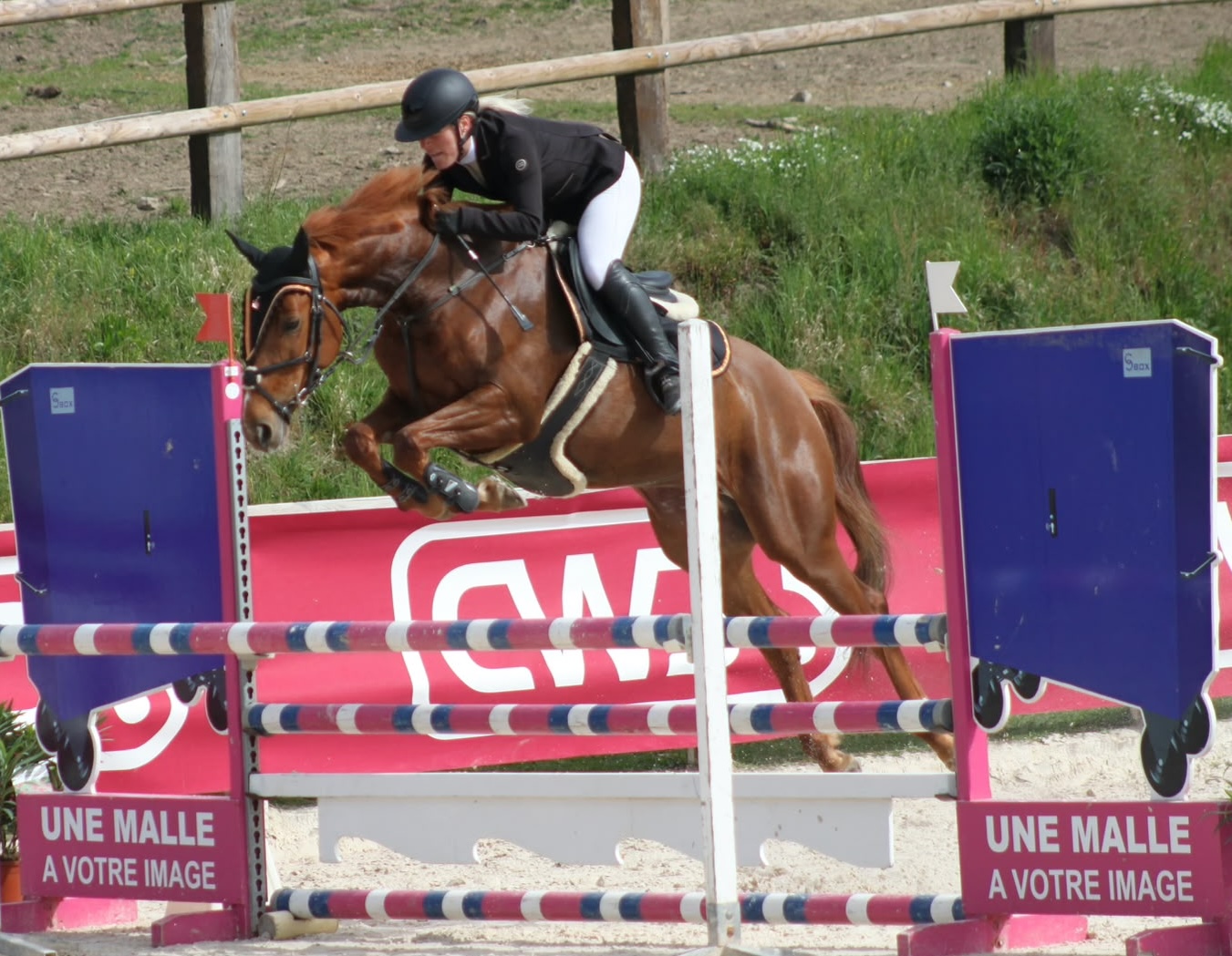 Karapulp de Volkova et Mathilde GELLET - CSO épreuves jeunes chevaux 6 ans